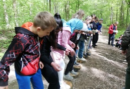 Waldjugendspiele 5a (14.05.2019) - Dieses Album anzeigen Waldjugendspiele 5a (14.05.2019)
