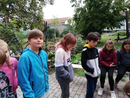 Kletterprojekt 5a 36