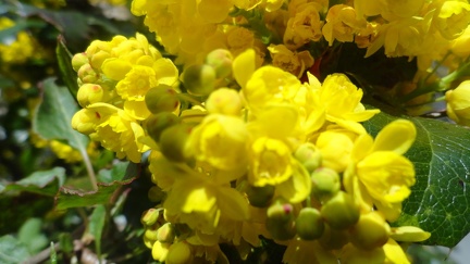 Fruehling 03