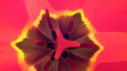 Fruehling 06