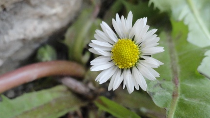 Fruehling 09