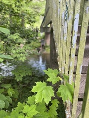 Fruehling erleben 9ab 2022-06