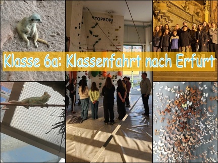 collage 6a Klfa Erfurt