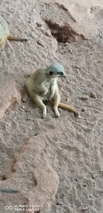 IMG-20240507-WA0007
