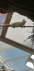 IMG-20240507-WA0009