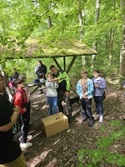 2024 05 16 Waldjugendspiele MW 09 (Klein)