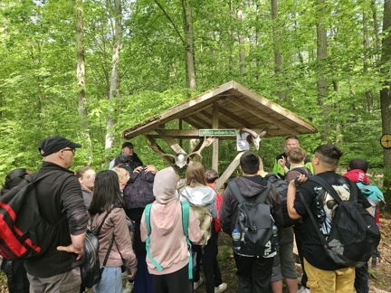 2024 05 16 Waldjugendspiele MW 12 (Klein)