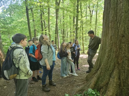 2024 05 13 5b Wald MW 22 (Klein)