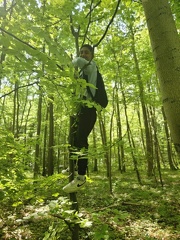 2024 05 13 5b Wald MW 24 (Klein)