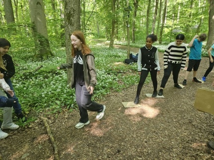 2024 05 13 5b Wald MW 27 (Klein)