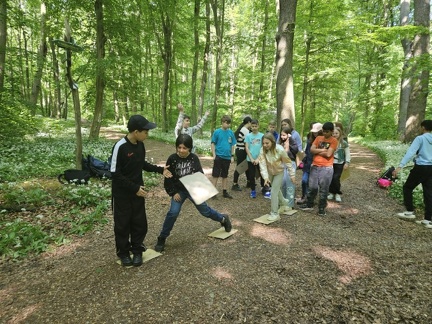2024 05 13 5b Wald MW 29 (Klein)