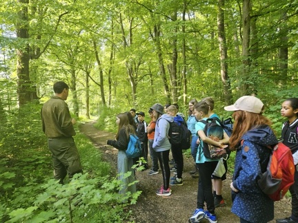 2024 05 13 5b Wald MW 32 (Klein)