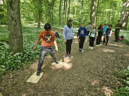 2024 05 13 5b Wald MW 31 (Klein)