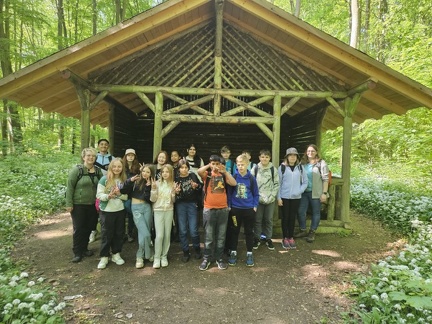 2024 05 13 5b Wald MW 33 (Klein)
