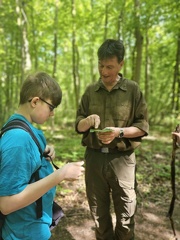 2024 05 13 5b Wald MW 34 (Klein)