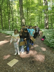 2024 05 13 5b Wald MW 35 (Klein)