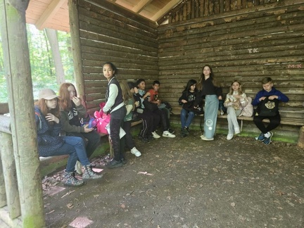2024 05 13 5b Wald MW 37 (Klein)