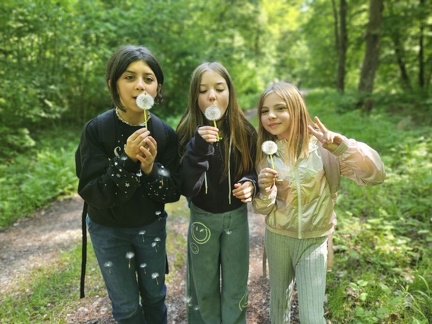 2024 05 13 5b Wald MW 38 (Klein)