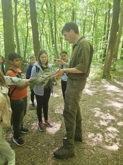 2024 05 13 5b Wald MW 39 (Klein)