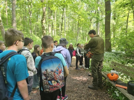 2024 05 13 5b Wald MW 43 (Klein)