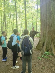 2024 05 13 5b Wald MW 41 (Klein)
