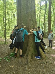 2024 05 13 5b Wald MW 45 (Klein)