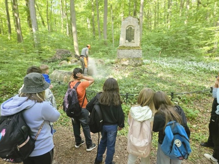 2024 05 13 5b Wald MW 46 (Klein)