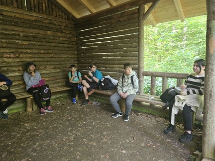 2024 05 13 5b Wald MW 47 (Klein)